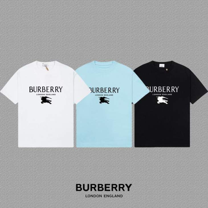 Picture of Burberry T Shirts Short _SKUBurberryM-4XLxetr16020093